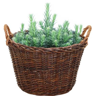 Mega Collections aardappelmand/plantenmand - Santa Fe - met handgreep - rotan - B35 x H24 cm