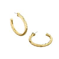 Dames oorbellen Chiara Ferragni J19AXP10 4 cm
