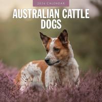 Australian Cattle Dog Kalender 2026