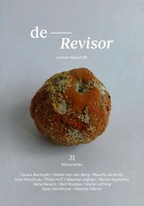 Revisor 31 - Diverse auteurs - ebook