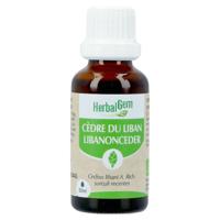 Herbalgem Ceder Bio 30ml
