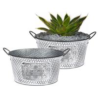 Plantenpot/bloempot teil voor buiten - 2x - zink - zilver - D25.5 x H12 cm