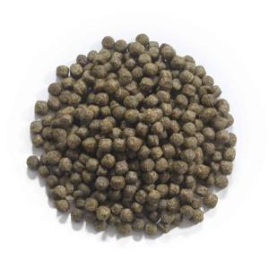 Coppens Staple 3 mm Koi Voer - Gezonde Groei & Kleurversterking - Compleet Voer - 15KG