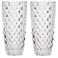 Set van 2x stuks bloemenvazen bubbels relief 8 x 19,5 cm van glas