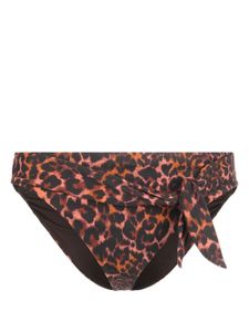 Marlies Dekkers bas de bikini Jungle - Marron