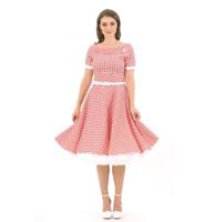 Dolly & Dotty Darlene Swing Dress Gingham Red & White -L