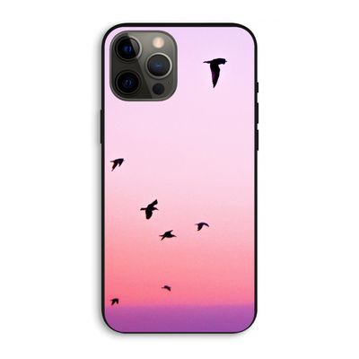 Fly away: iPhone 12 Pro Max Biologisch afbreekbaar hoesje