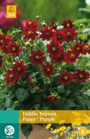 Dahlia Topmix Paars Bloembol JUB 1 bol - Jub
