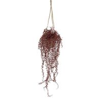 Callisia kunst hangplant 70cm UV Burgundy - thumbnail