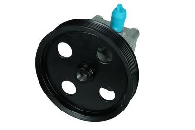 Servo pomp 480167