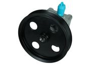 Servo pomp 480167