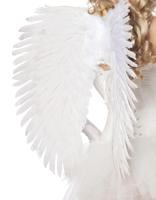 Grote witte engelen vleugels Grote witte engelen vleugels