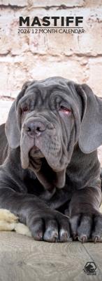 Mastino Napoletano Slimline Kalender 2026 Mastino Napoletano Slimline Kalender 2026