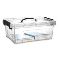 Opslagbox met deksel - transparant grijs - 12.5 liter - 40 x 30 x 16 cm - kunststof Opslagbox met deksel - transparant grijs - 12.5 liter - 40 x 30 x 16 cm - kunststof