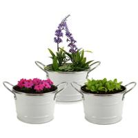 Plantenpot/bloempot teil - 3x - rond - zink - wit - D12 x H17 cm