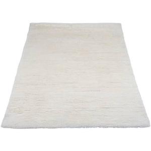 Veer Carpets - Vloerkleed Morena 011 - 200 x 240 cm