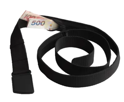 Pacsafe Cashsafe Wallet Belt