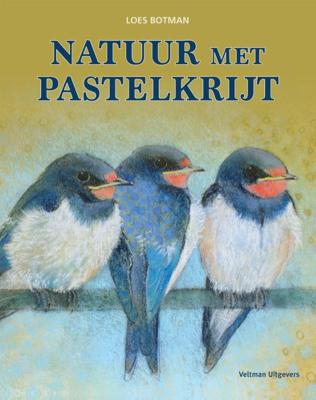Natuur met pastelkrijt (Hardback)