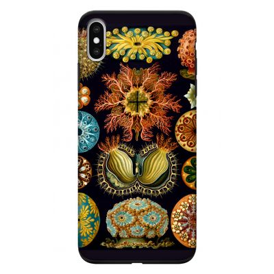 Haeckel Ascidiae: iPhone XS Max Tough Case