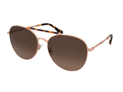Zonnebrillen Jimmy Choo Abbie/G/S 06J/HA