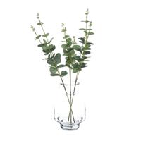 Bellatio Design Kunstplant takken Eucalyptus Cinera - 3x - 38 cm - 3 takken - kunst bladgroen