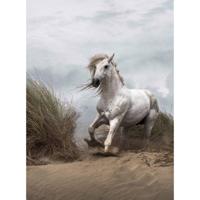 Fotobehang - White Wild Horse 192x260cm - Vliesbehang - thumbnail