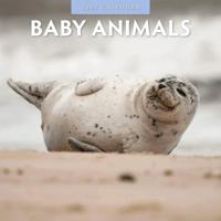 Baby Animals Kalender 2027