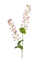 Bellflower l107cm lt roze kunstbloem Louis Maes - Louis maes