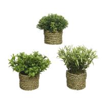 Decoratieve plant Basic Home Kunstmatig Touw Groen 16 x 3 cm