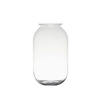 Transparante home-basics vaas/vazen van glas 30 x 19 cm - thumbnail