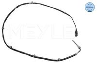 Sensor, uitlaatgastemperatuur 6148000032