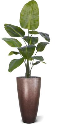 Baq Metallic Silver leaf Partner matt coffee (met inzetbak), 40x75cm