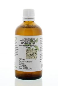 Natura Sanat Boswellia serrata / boswellia tinctuur (100 ml)