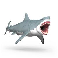 Schleich Dinosaurs Megalodon Schleich Dinosaurs Megalodon