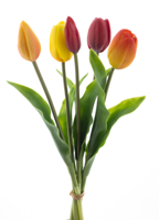 PSO Holland tulip bundle Sally red/orange combo 36 cm kunstbloem - Nova nature PSO Holland tulip bundle Sally red/orange combo 36 cm kunstbloem - Nova nature
