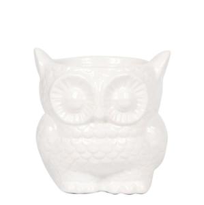 Kolibri Home | Owl bloempot - Witte keramieken sierpot - Ø9cm