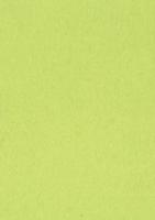 Gekleurd tekenpapier, 120 g, ft 21 x 29,7, A4, lichtgroen, pak van 500 vel