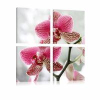 Schilderij - Orchidee in 4 delen , wit roze , 4 luik