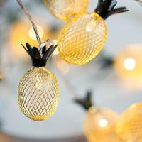 3m ijzer ananas USB Plug romantische LED String vakantie licht 20 LEDs Teenage stijl warme Fairy decoratieve Lamp voor Kerstmis bruiloft slaapkamer