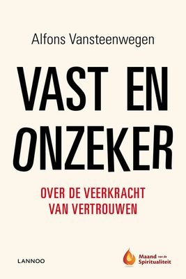 Vast en onzeker - Alfons Vansteenwegen - ebook