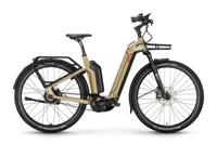 VICTORIA elektrische urbanfiets "utilyon 5" (#1) ebike vict. utilyon 5 29/48 env. grey
