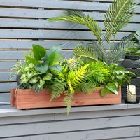 Verhoogd Bloembed van Hout Tuinbed 91,5 x 18 x 16 cm Plantenbak voor Tuin Gazon Terras Balkon Bruin