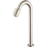 Wiesbaden Victoria Koudwaterkraan XL - Geborsteld Staal - Fonteinkraan