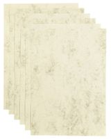 Kopieerpapier Papicolor A4 90gr 12vel marble ivoor - thumbnail