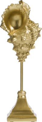 Object Shell 36cm.