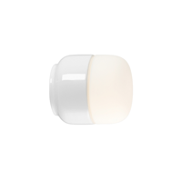 Ifo Electric - Ohm 100/110 Plafondlamp/Wandlamp