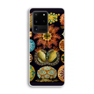 Haeckel Ascidiae: Samsung Galaxy S20 Ultra Transparant Hoesje