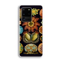 Haeckel Ascidiae: Samsung Galaxy S20 Ultra Transparant Hoesje