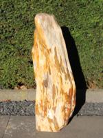 Fossiel Hout 250301, 71 cm