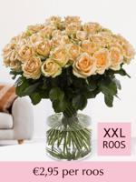 Zalmkleurige rozen - Kies je aantal - 10 t/m 99 rozen - thumbnail